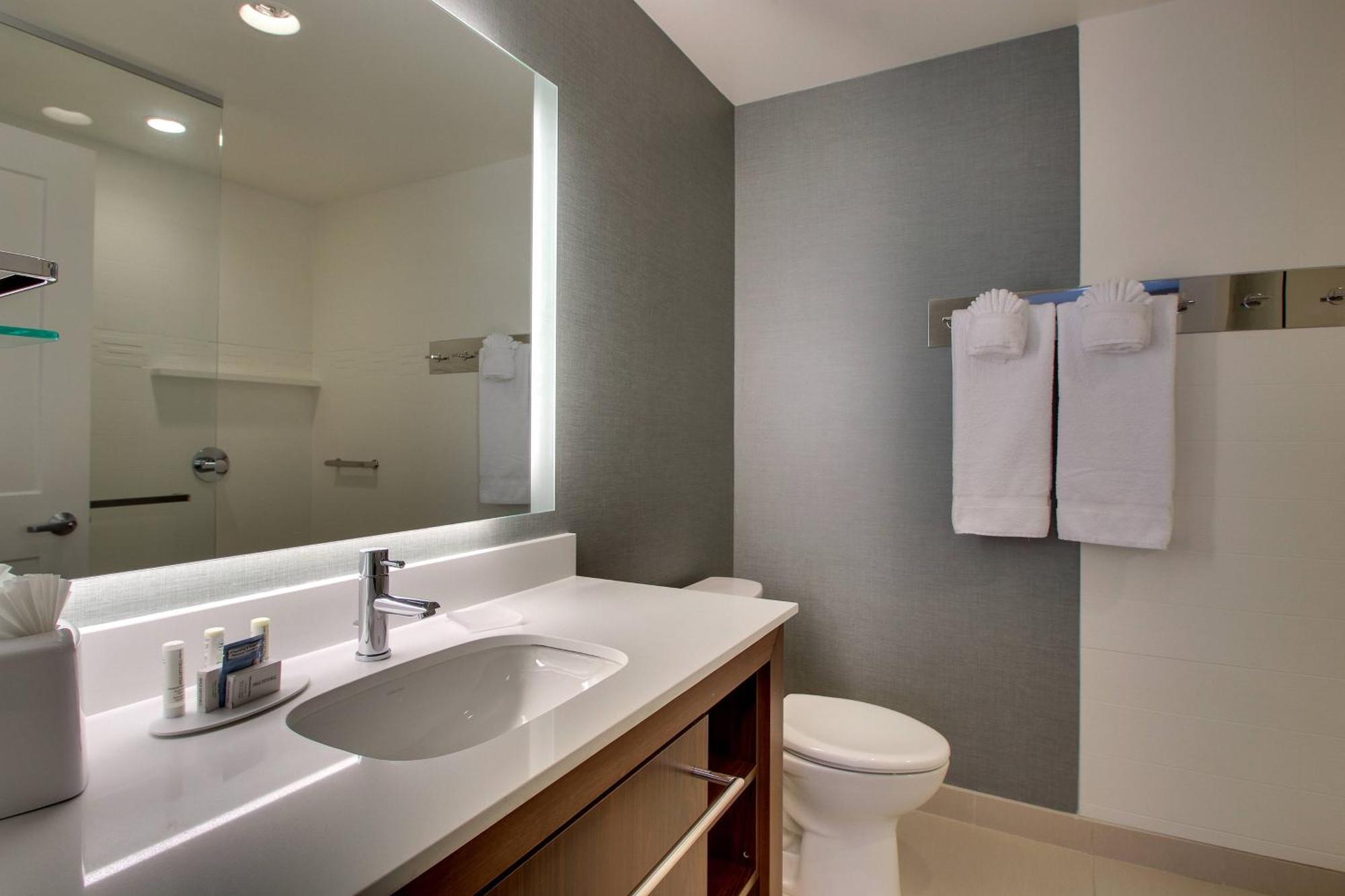 Residence Inn By Marriott Philadelphia Valley Forge/Collegeville Exterior photo